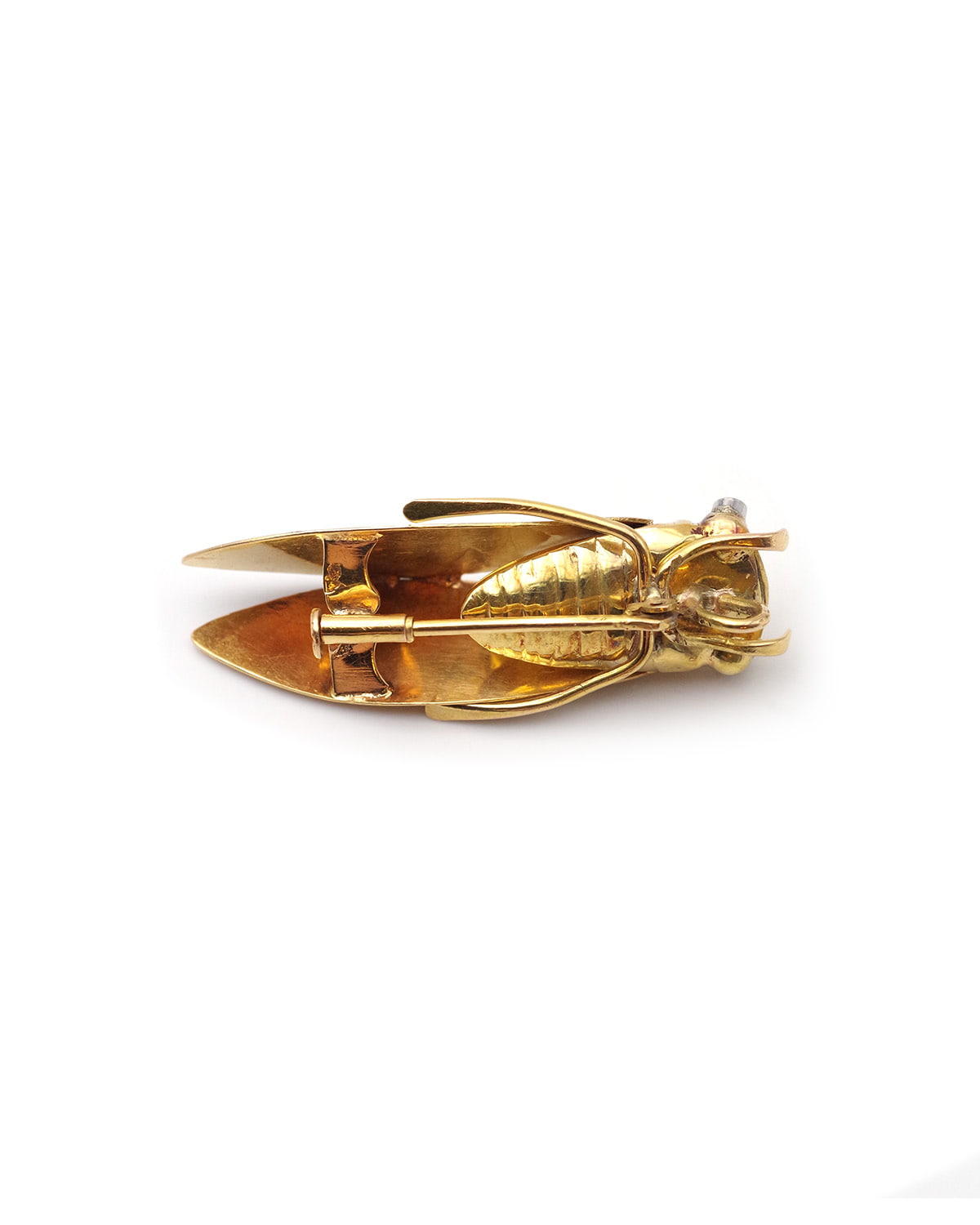 Broche pendentif cigale