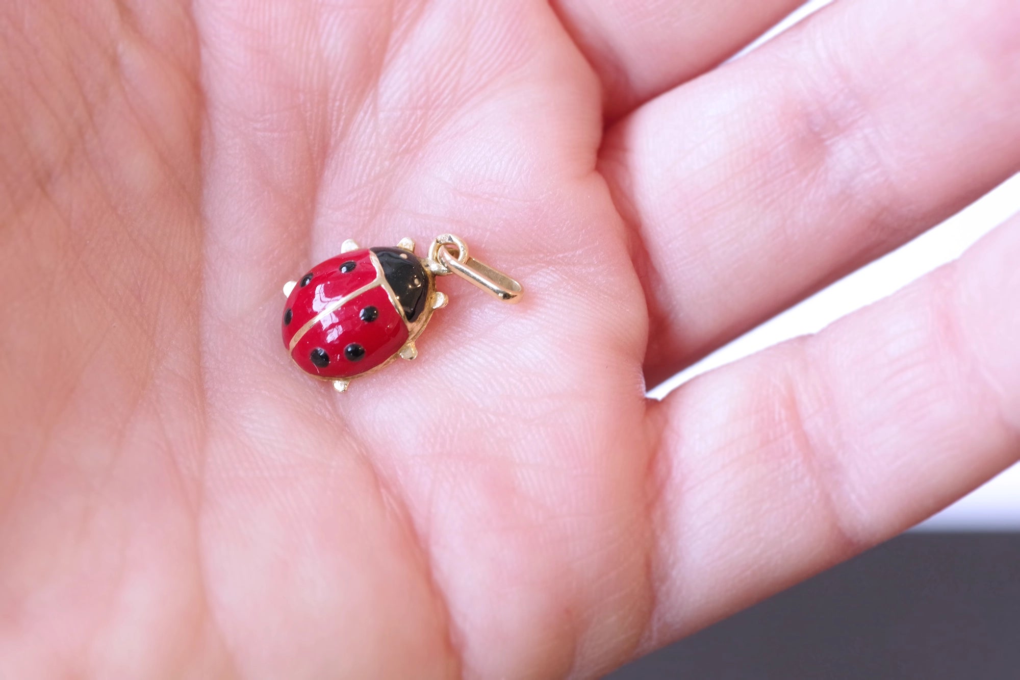 Collier Les Perles de Cocotte-Charm coccinelle