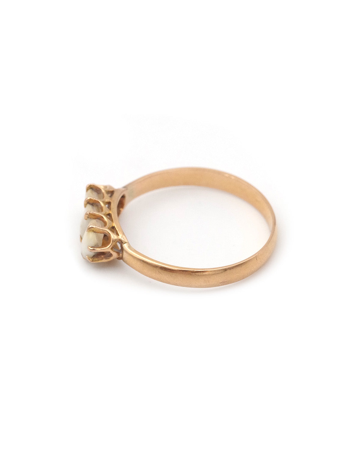 Tooth sentimental ring in gold