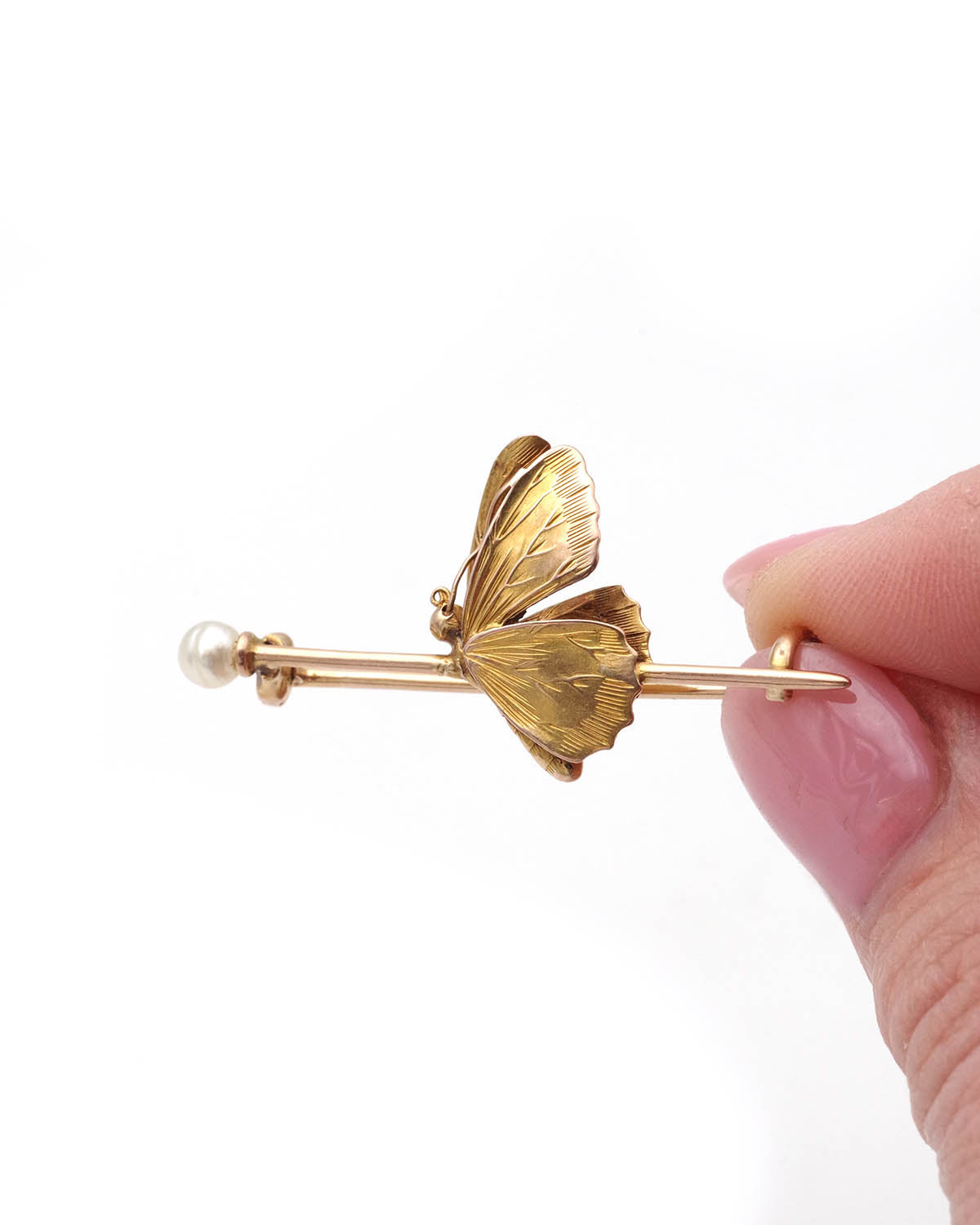 broche insecte papillon en or
