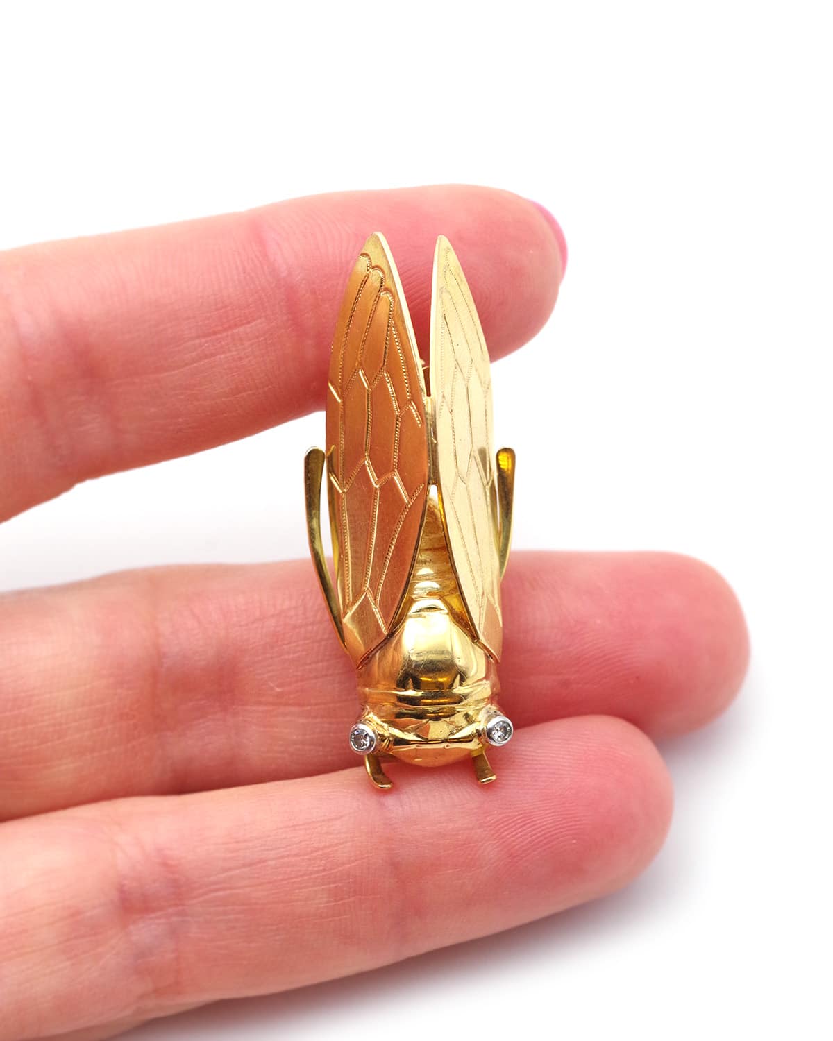 Broche pendentif cigale