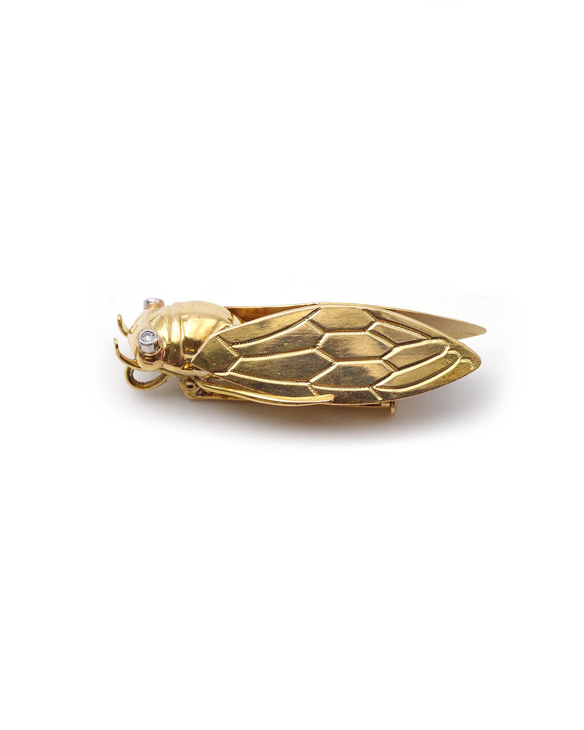 Broche pendentif cigale