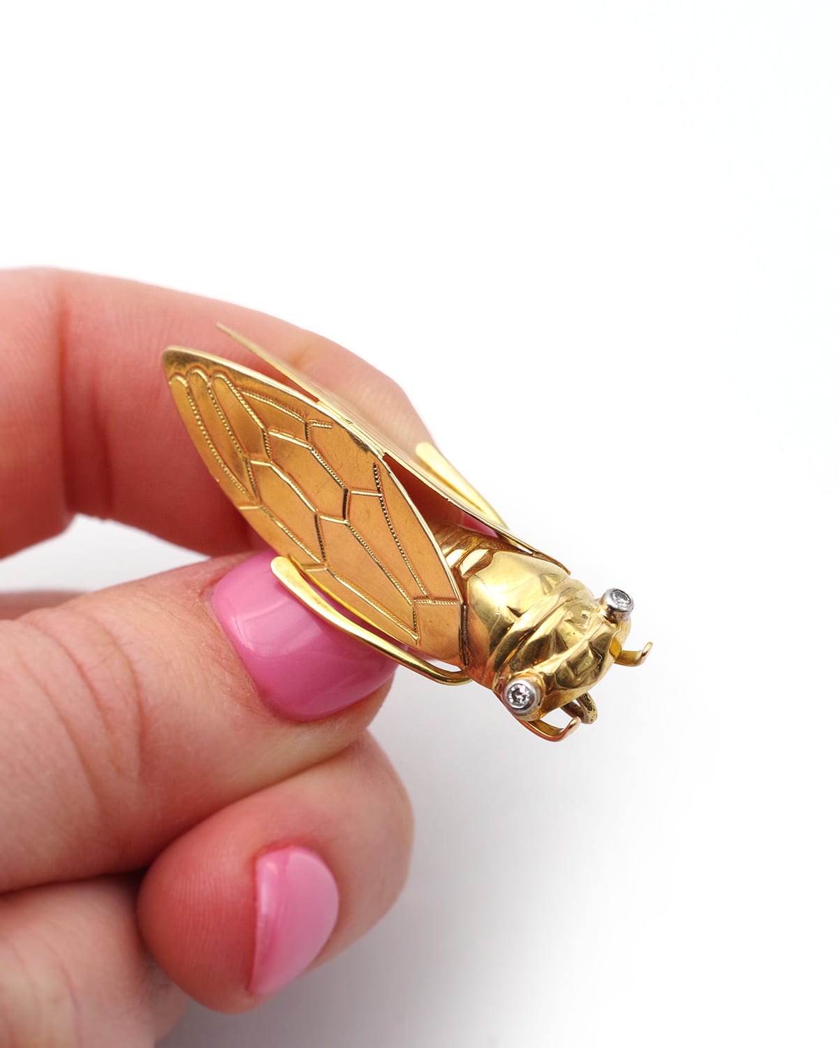 Broche pendentif cigale
