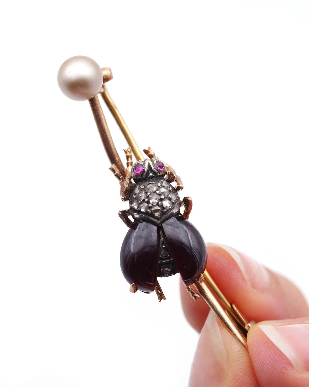 Broche naturaliste scarabée