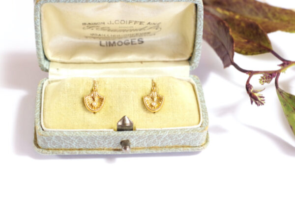 gold drop shell earrings sleepers antique jewellery
