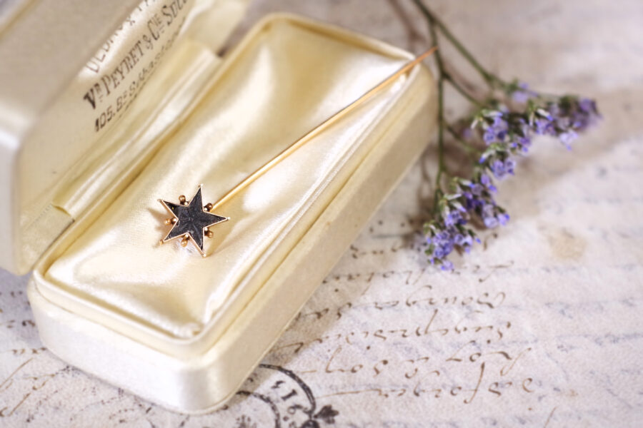 victorian black star stick pin in gold
