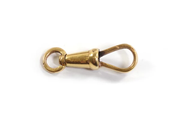 Victorian gold clasp